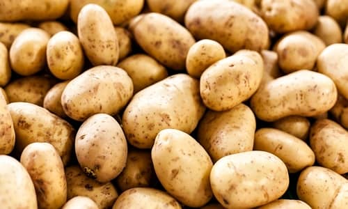 Potato Benefits