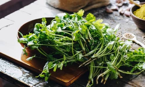 Water Parsley Benefits