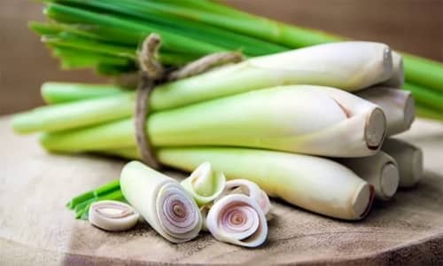 Lemongrass Benefits