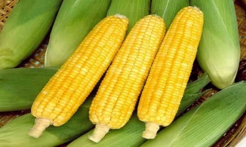 Super sweet corn Benefits