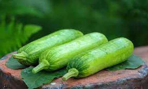 Zucchini Benefits