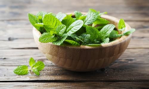 Mint Benefits