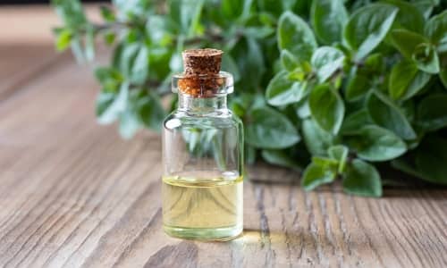 Oregano oil Benefits