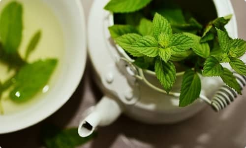 Peppermint Benefits