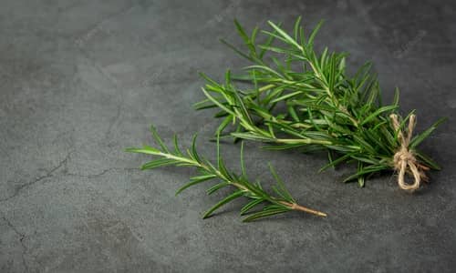 Rosemary Benefits