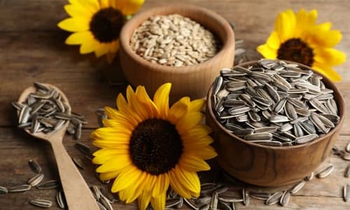 Sunflower seed Benefits