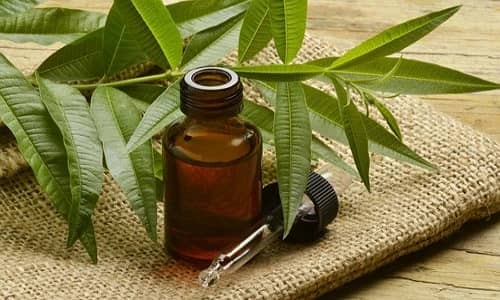 Tea tree oil Benefits