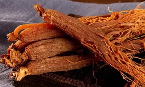 Red ginseng Benefits