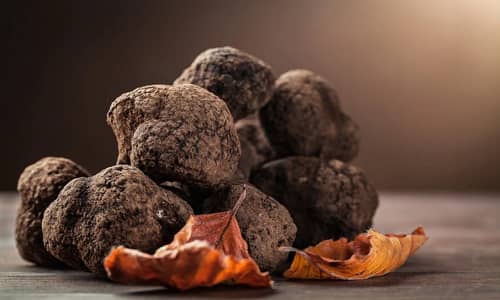 Truffle Benefits