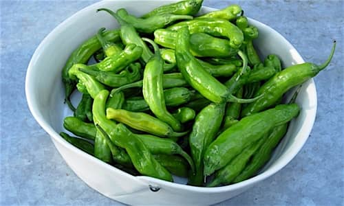 Shishito pepper Benefits