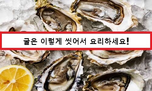 Oyster Benefits