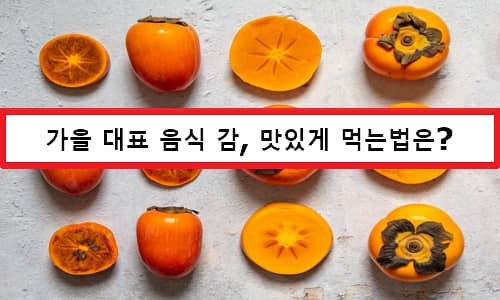 Persimmon Benefits