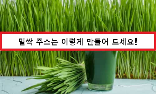 Wheatgrass Benefits