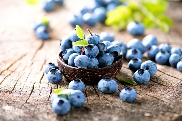 Blueberry Benefits