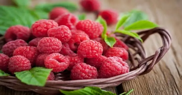Wildberry Benefits