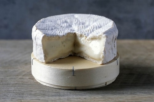 Camembert Cheese Benefits