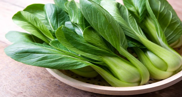 Bok choy Benefits