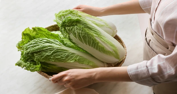 Napa cabbage Benefits