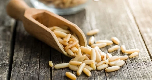 Pine nuts Benefits