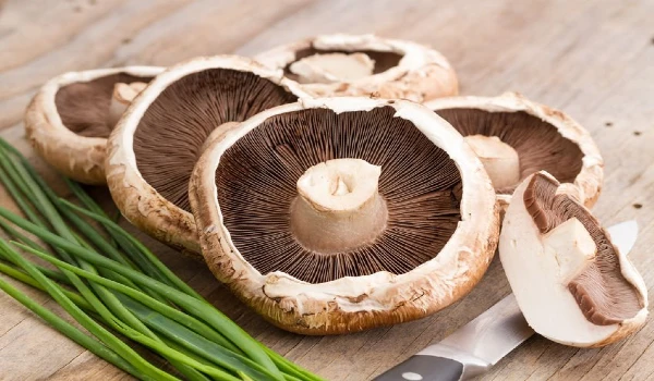 Agaricus mushroom Benefits