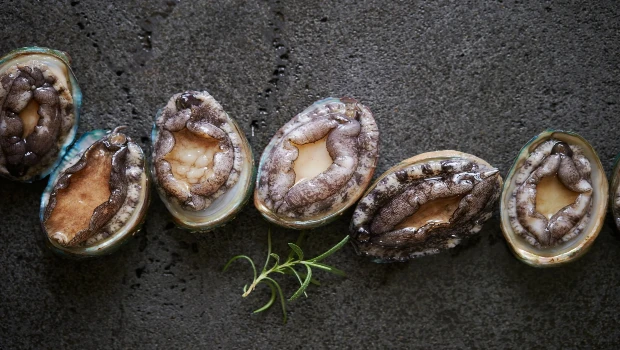 Abalone Benefits